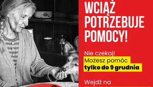 szlachetna paczka 2023.png